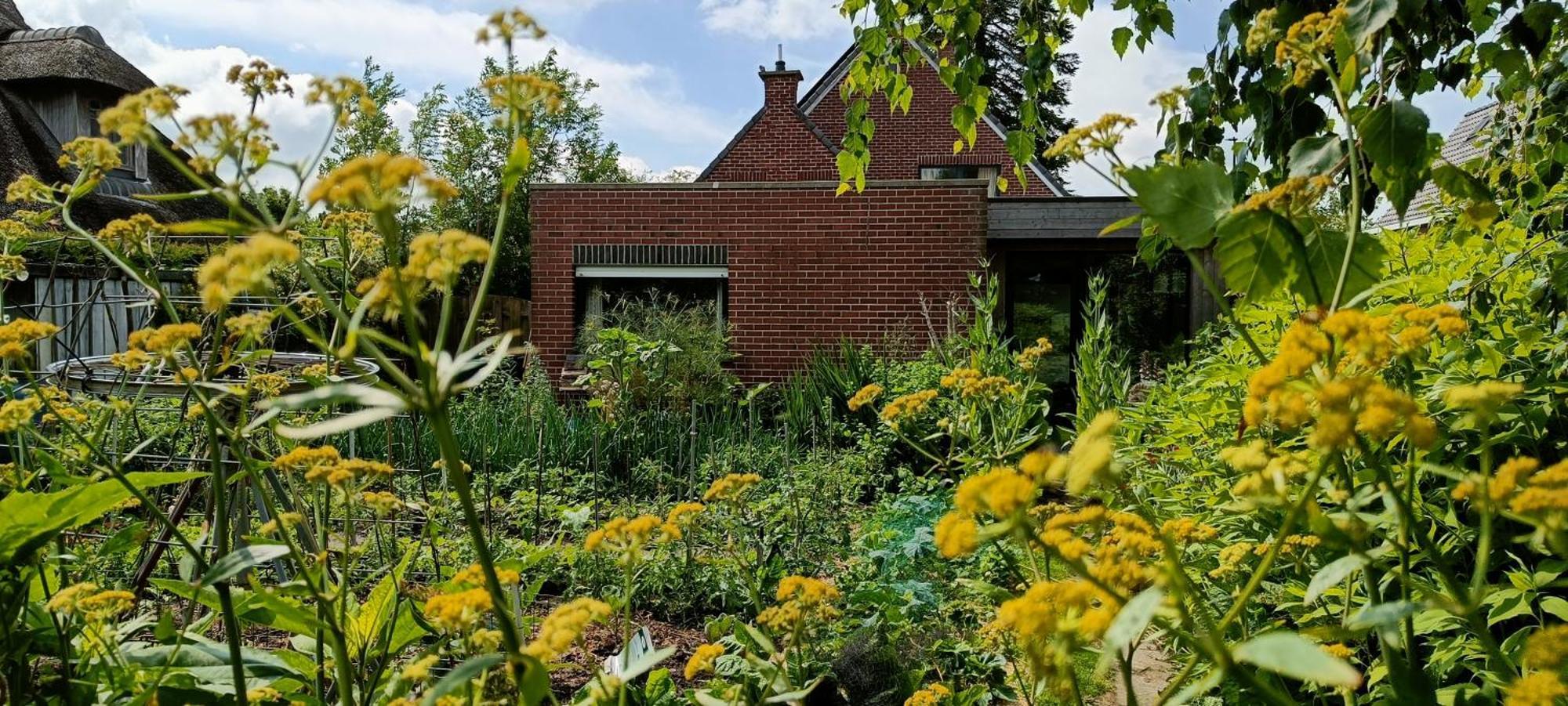 شقة Bliss - Gate To The Flemish Ardens أودينارد المظهر الخارجي الصورة