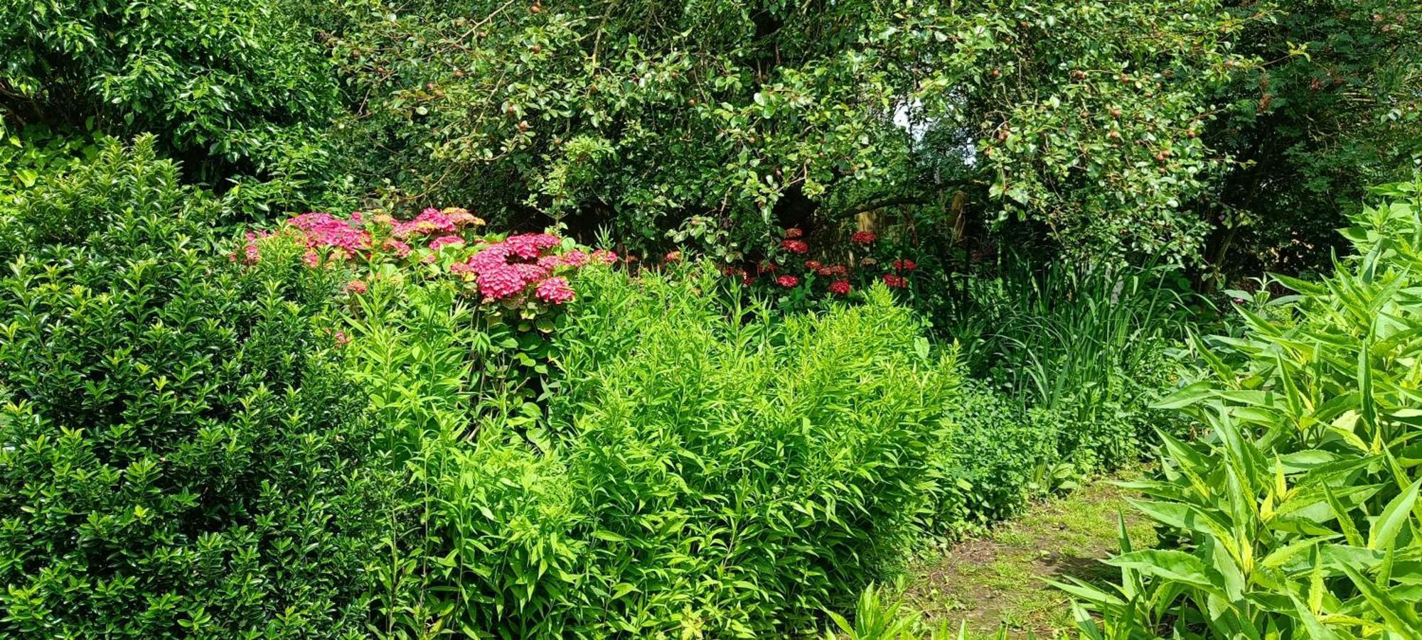 شقة Bliss - Gate To The Flemish Ardens أودينارد المظهر الخارجي الصورة