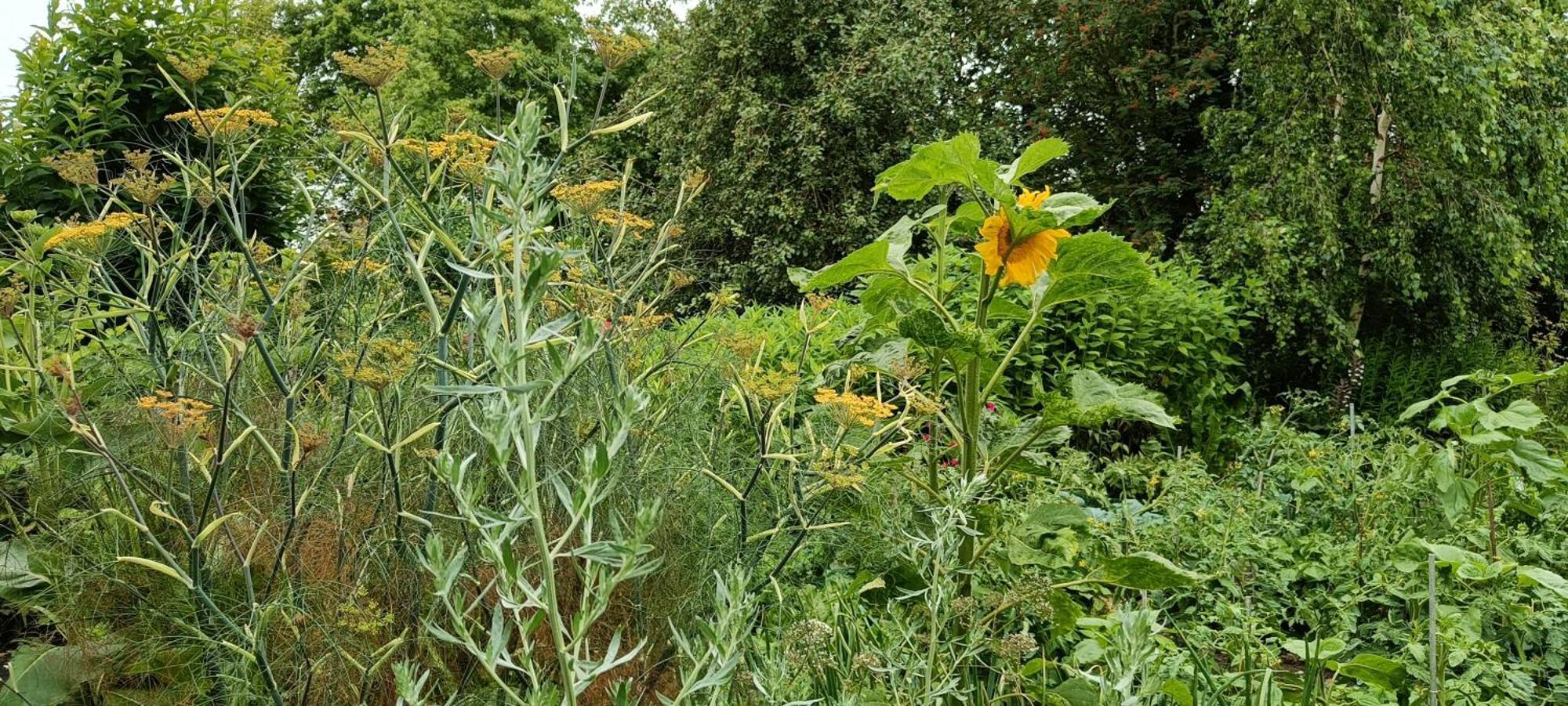 شقة Bliss - Gate To The Flemish Ardens أودينارد المظهر الخارجي الصورة